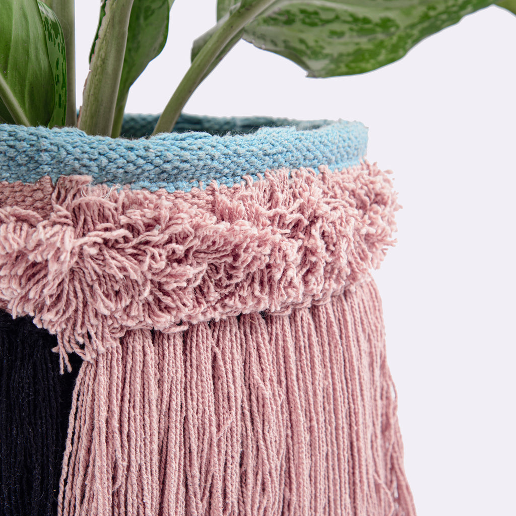 Plant Holder